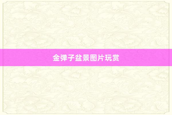 金弹子盆景图片玩赏