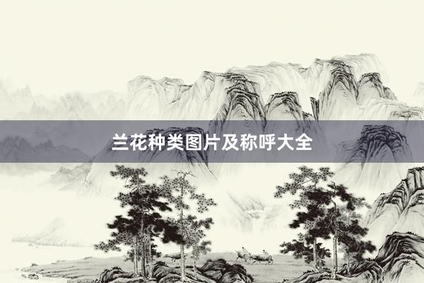 兰花种类图片及称呼大全