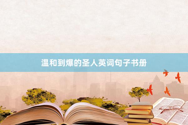 温和到爆的圣人英词句子书册
